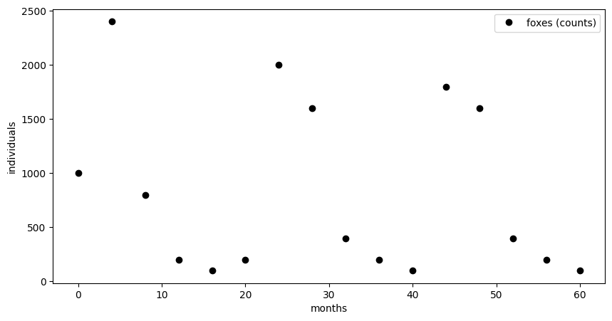 <Figure size 1000x500 with 1 Axes>